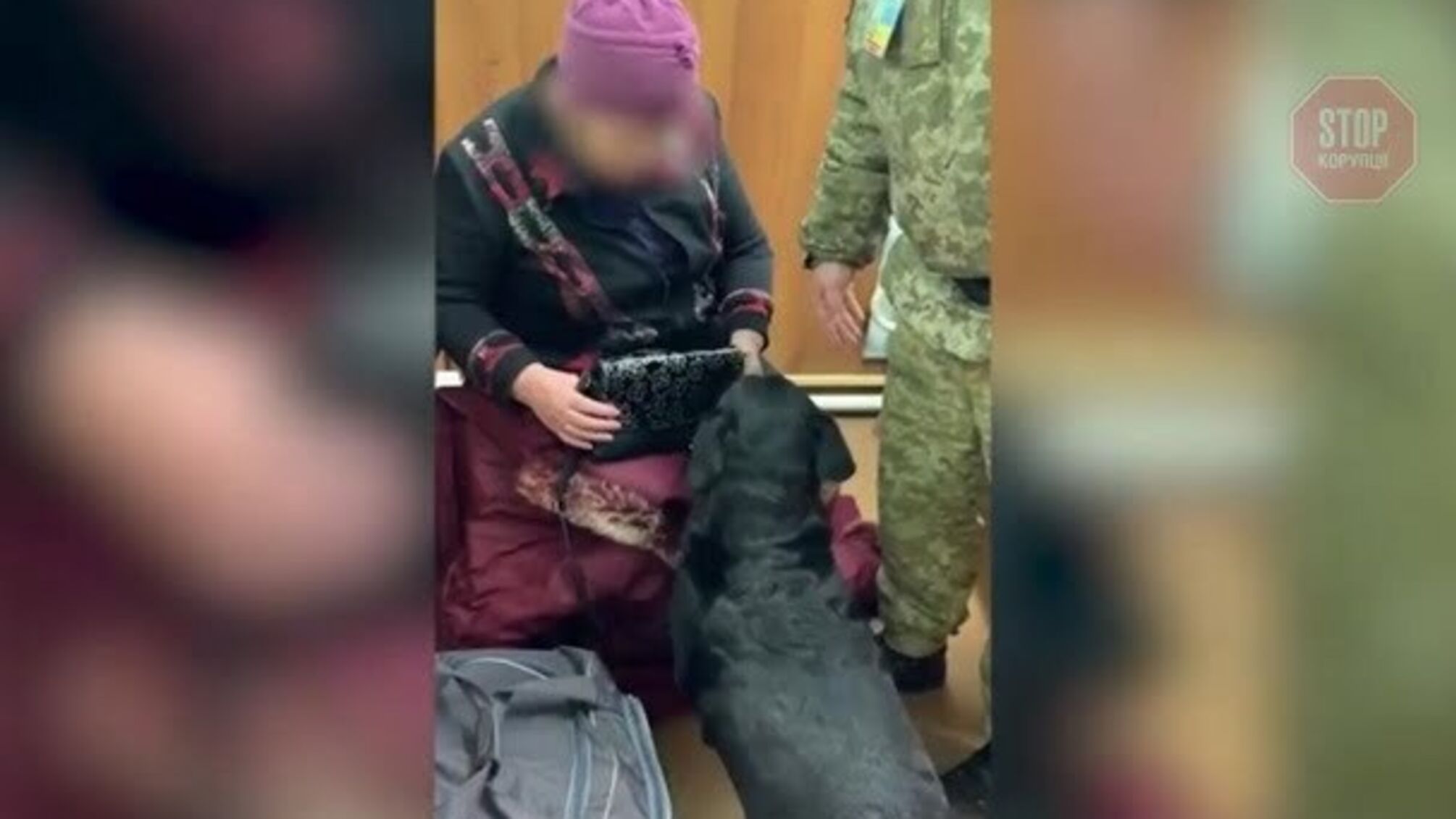 На українсько-російському кордоні собака знайшла у літньої жінки наркотики (відео)