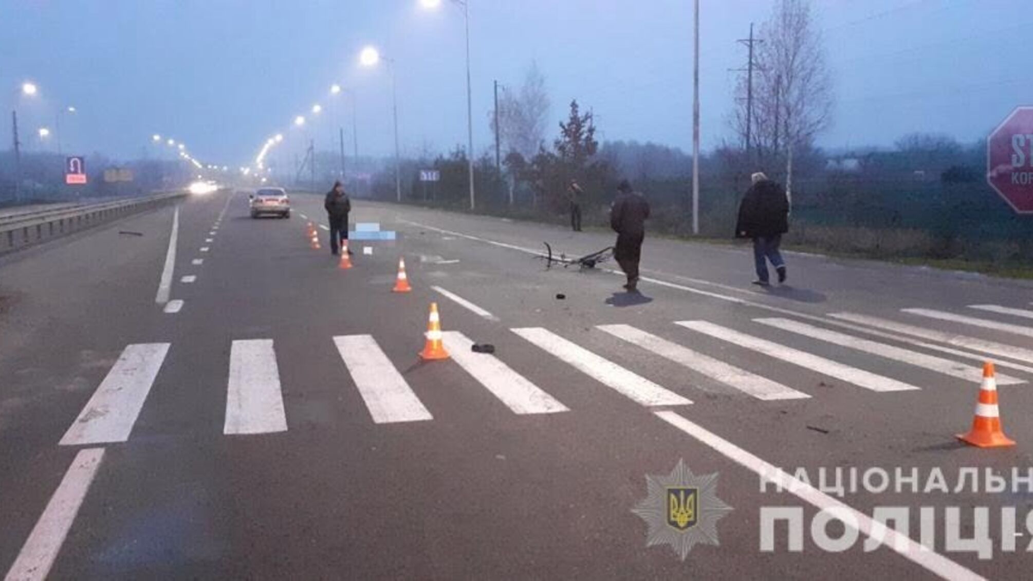 В Винницкой области велосипедист насмерть сбил легковой автомобиль (фото)