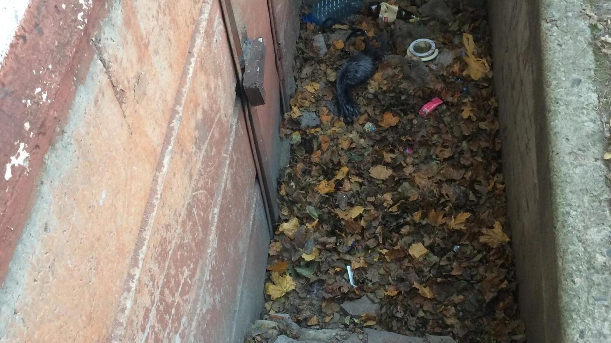 У Харкові поліція затримала чоловіка, який скоїв розбійний напад на літню жінку та зґвалтував її