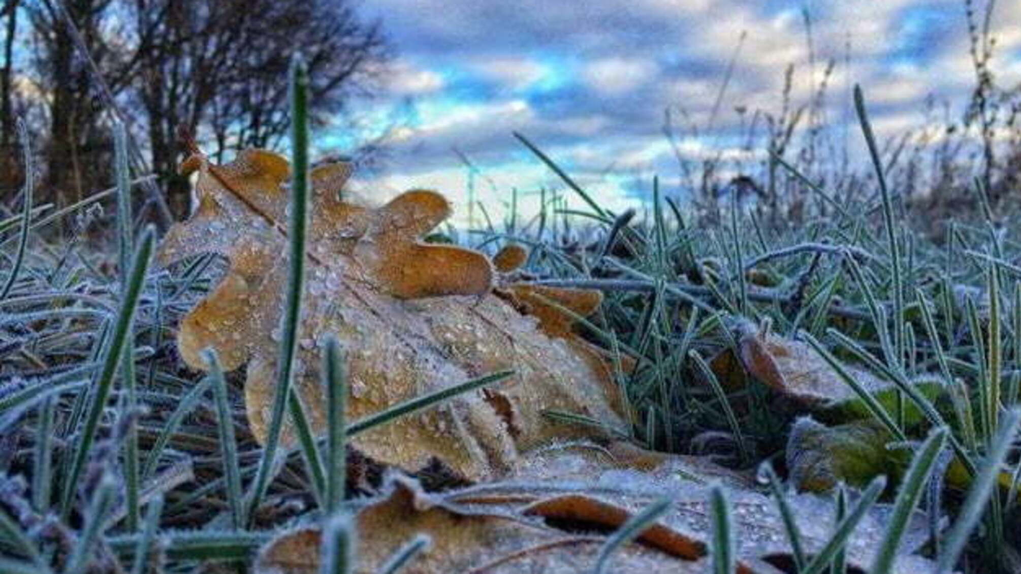 1 грудня: народний календар і астровісник