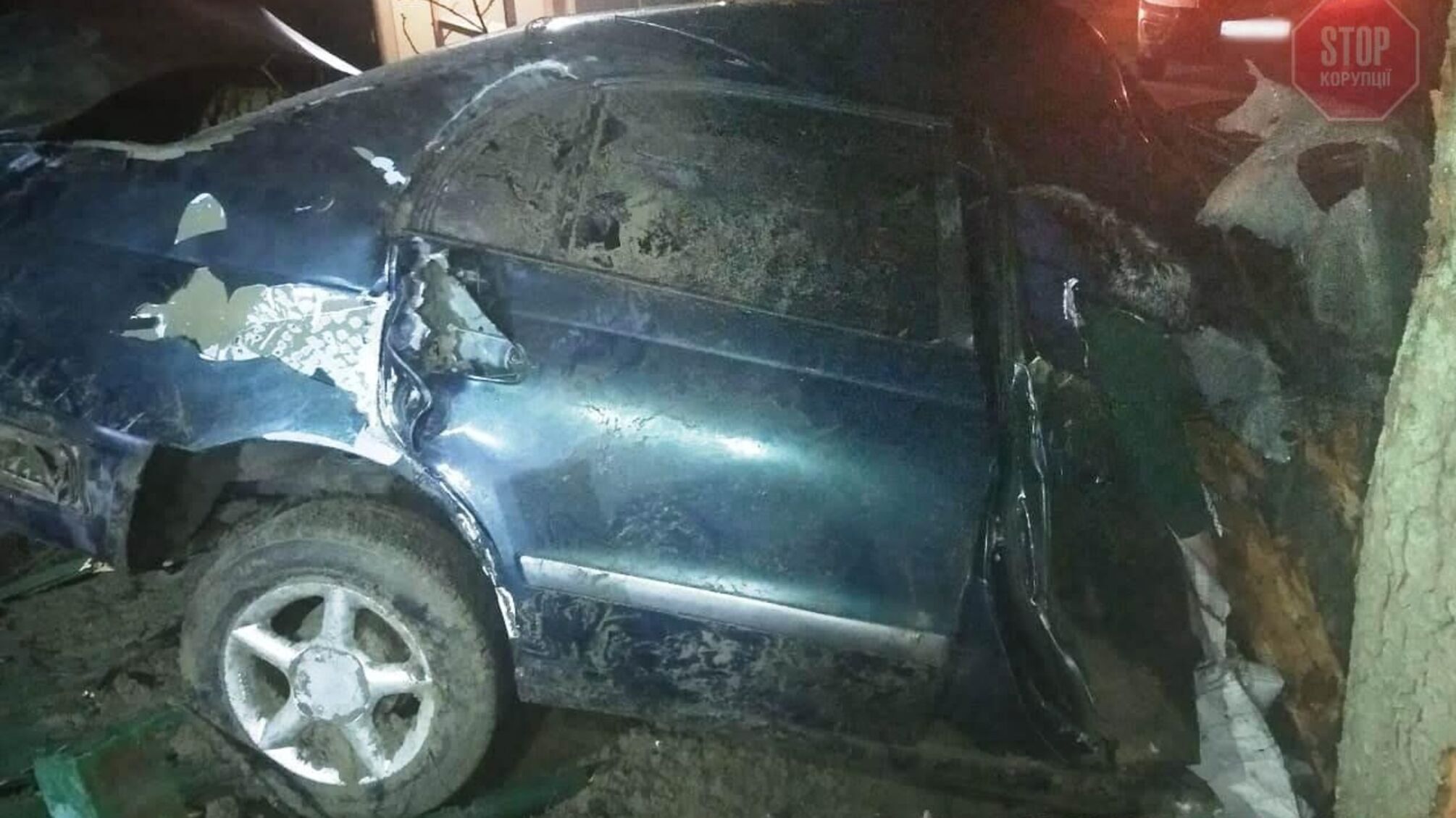 На Одещині легковик влетів у дерево, двоє людей загинули (фото)