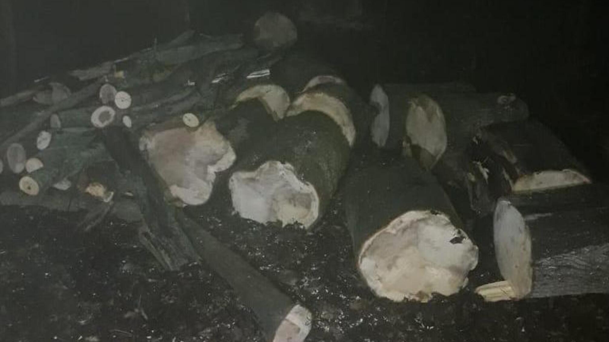 Поліцейські притягують до відповідальності двох жителів Роздільнянського району за незаконну порубку дерев