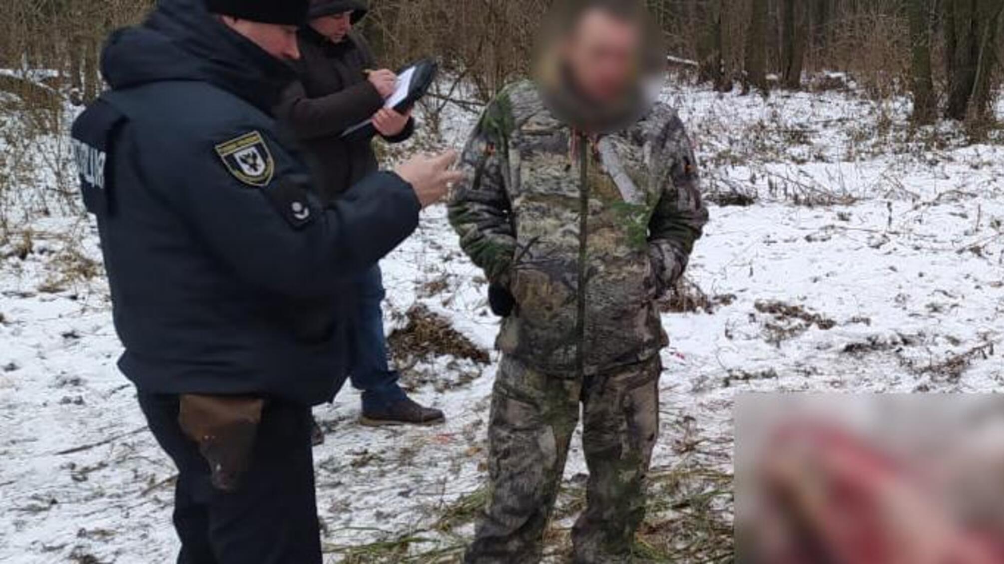 Поліція Чернігівщини затримала чоловіка, який вбив червонокнижну лосиху
