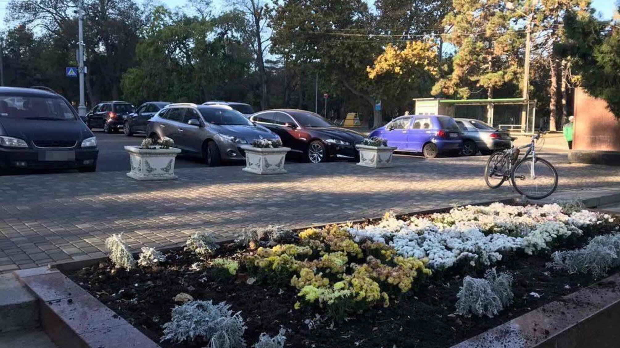 В Одесі правоохоронці затримали двох чоловіків, які викрали з Алеї Слави декоративні рослини