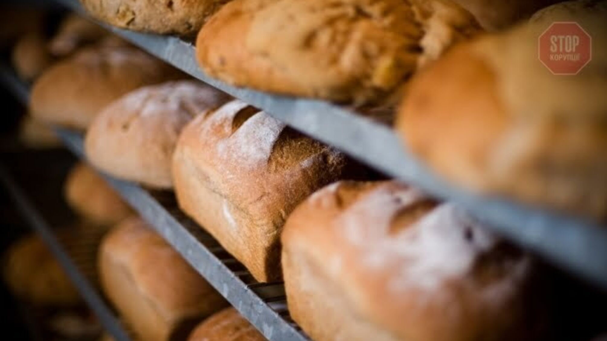 Стало відомо, на скільки в Україні подорожчає хліб