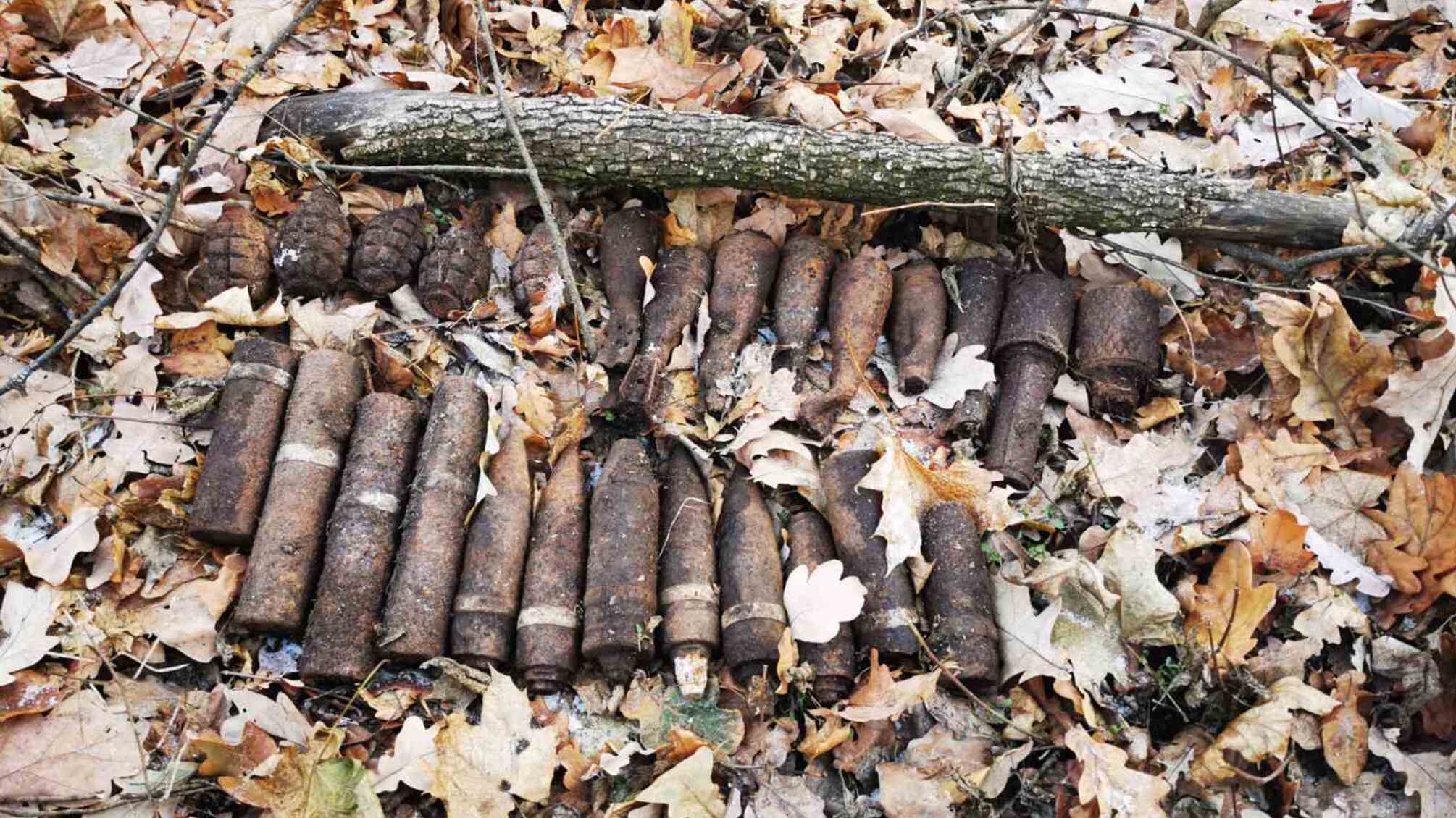 На Донеччині неподалік населеного пункту піротехніки вилучили 26 одиниць вибухонебезпечних предметів