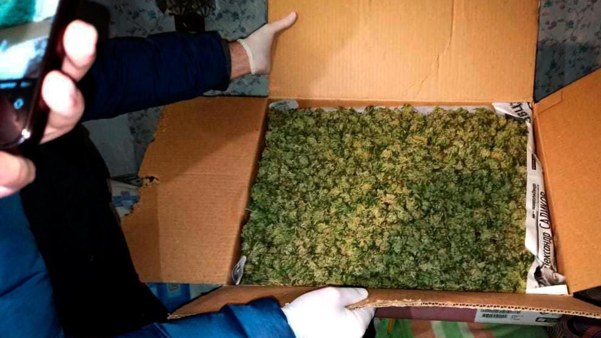 У Миколаєві поліцейські викрили двох чоловіків у незаконному зберіганні наркотиків на 200 000 гривень