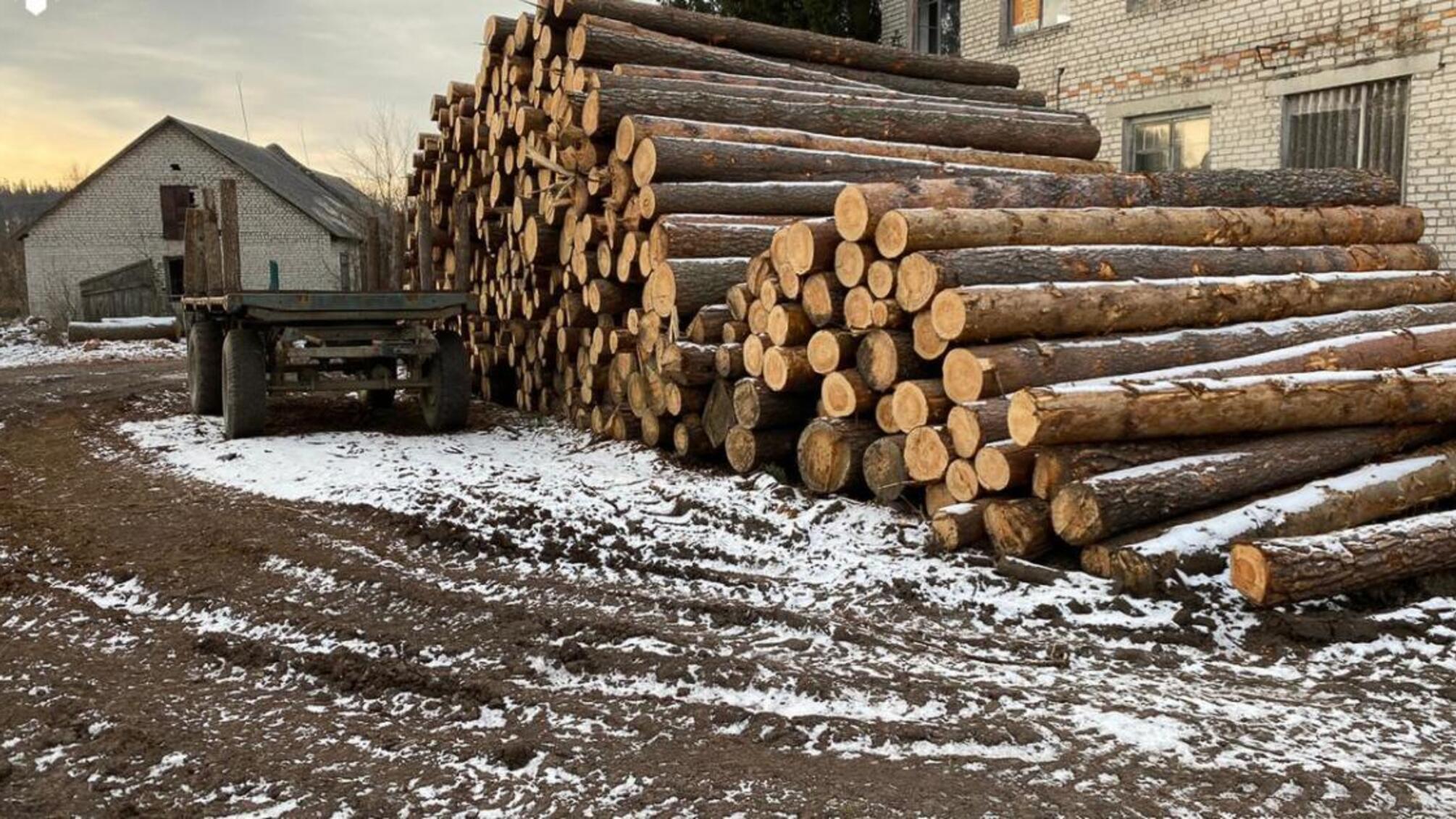 Понад 3 мільйони збитків - ДБР викрило організовану злочинну групу