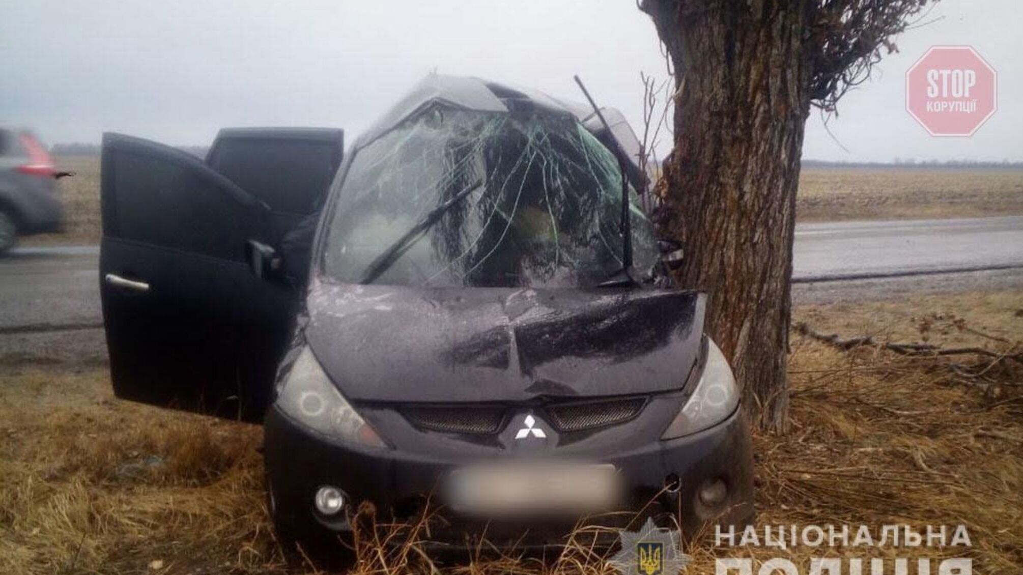Врізався у дерево: на Донеччині сталася смертельна ДТП (фото)