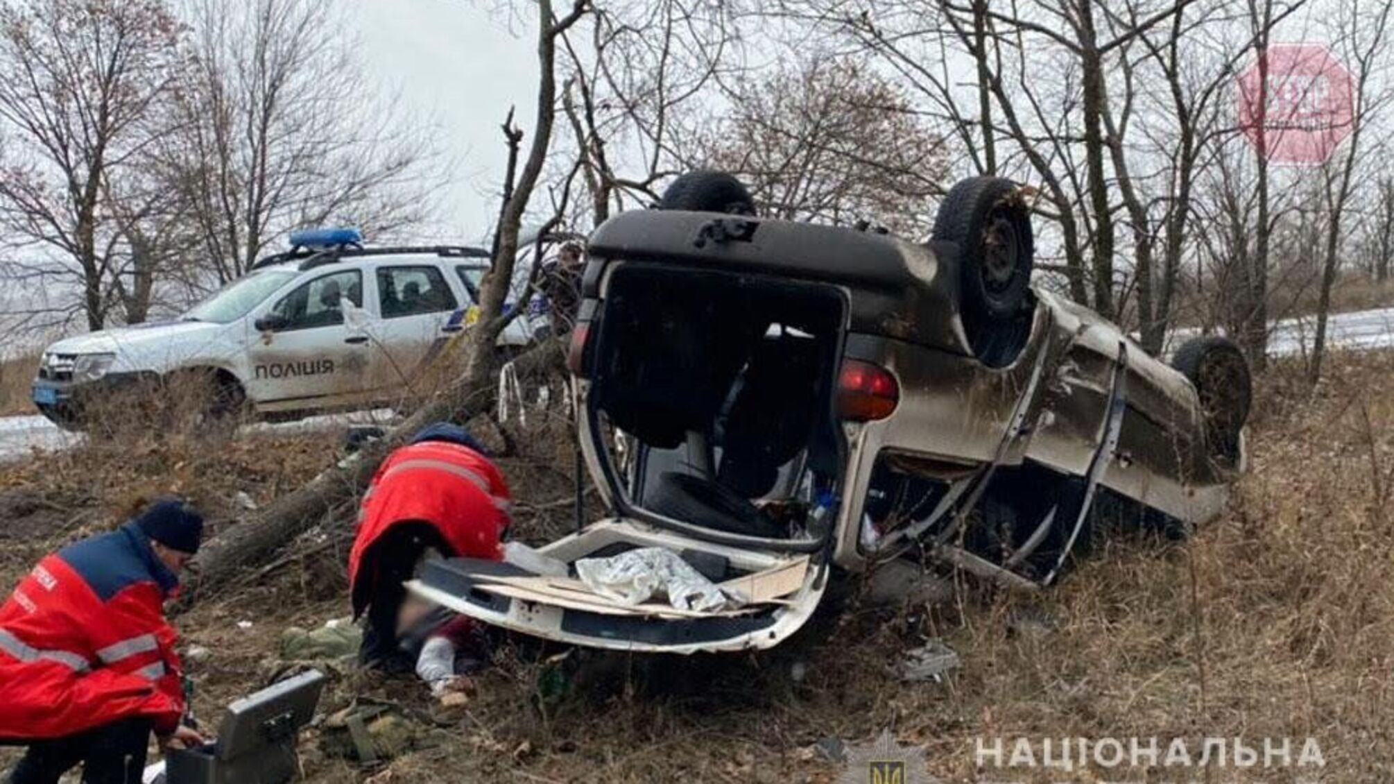 В Донецкой области автомобиль врезался в дерево и перевернулся на крышу: есть погибшие (фото)