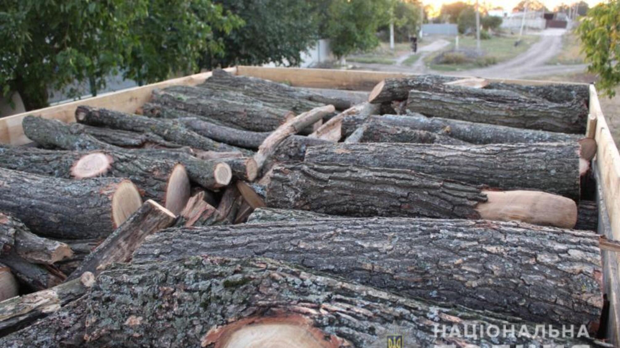Подільські поліцейські притягують до відповідальності місцевого мешканця за незаконну порубку та перевезення дерев