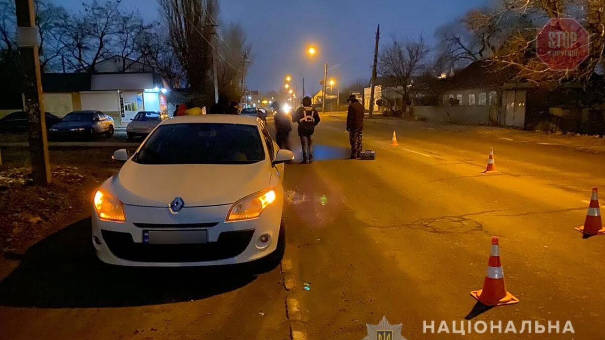 На Запоріжжі легковик на смерть збив чоловіка, який просто лежав посеред дороги (фото)