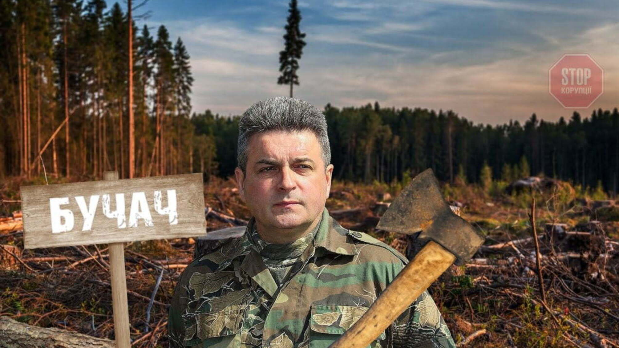От 5 евро «отката» за кубометр: главного лесополосу Тернопольской области обвиняют в незаконной вырубке лесов