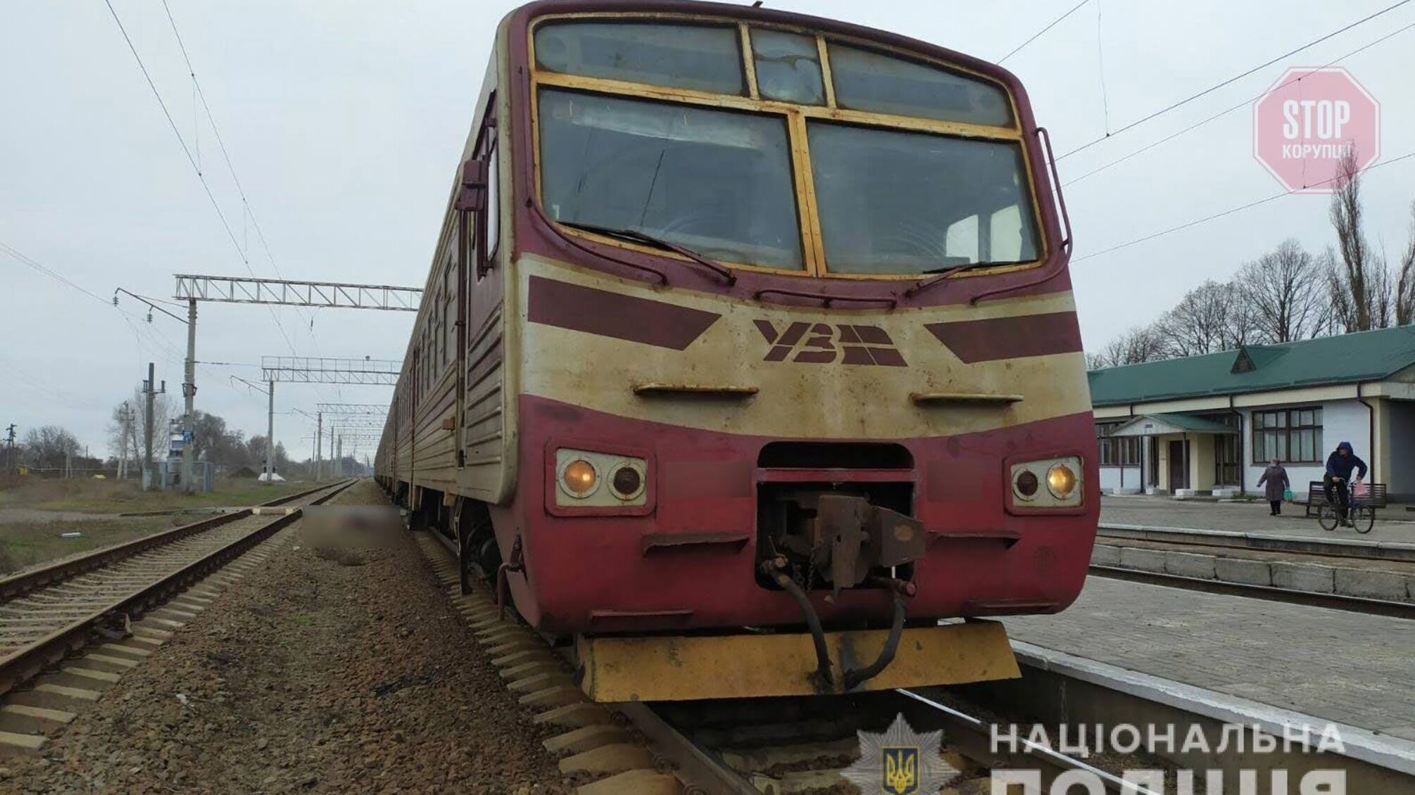 В Полтавской области поезд сбил пожилую женщину (фото)