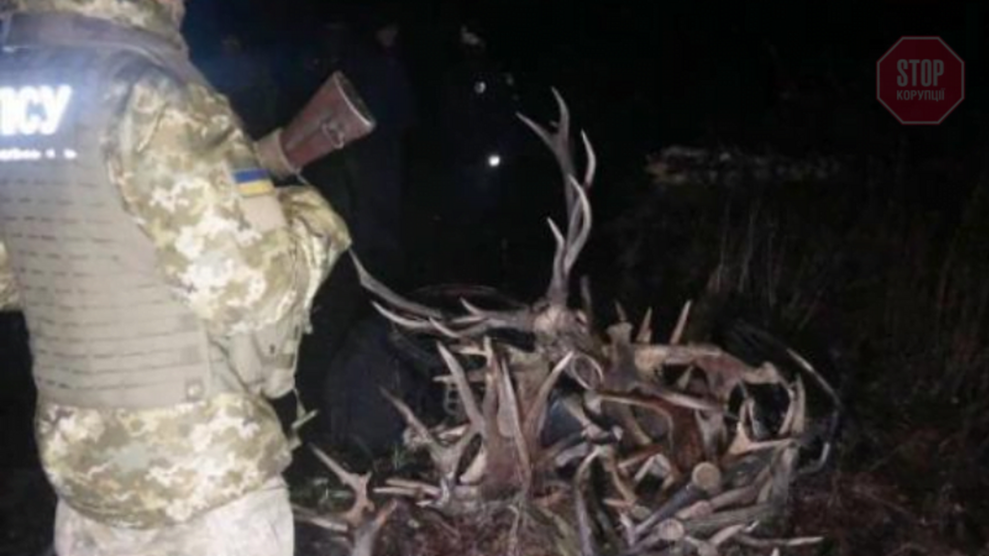 У зоні відчуження правоохоронці затримали збирачів радіаційно забруднених рогів тварин (відео)