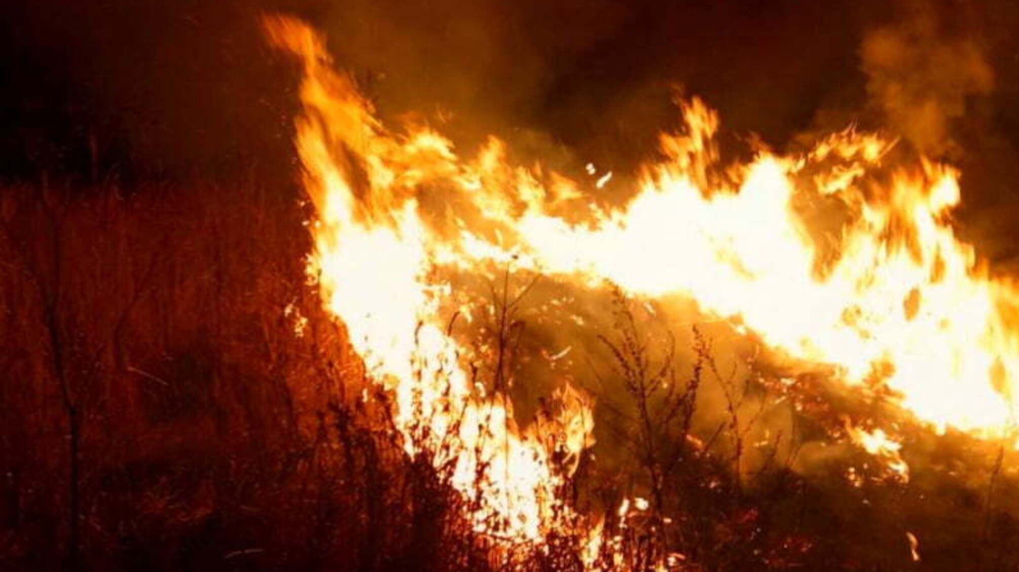 Київська область: рятувальники ліквідовують пожежі в природних екосистемах