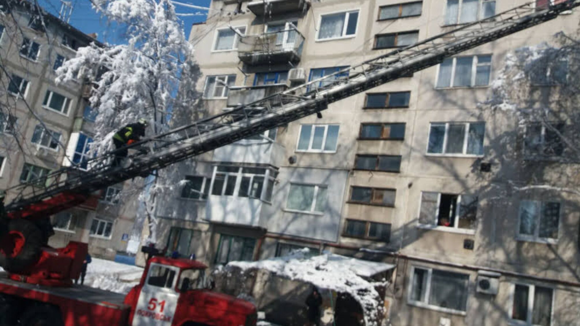 Донеччина: рятувальники прибрали аварійні гілки з дерева