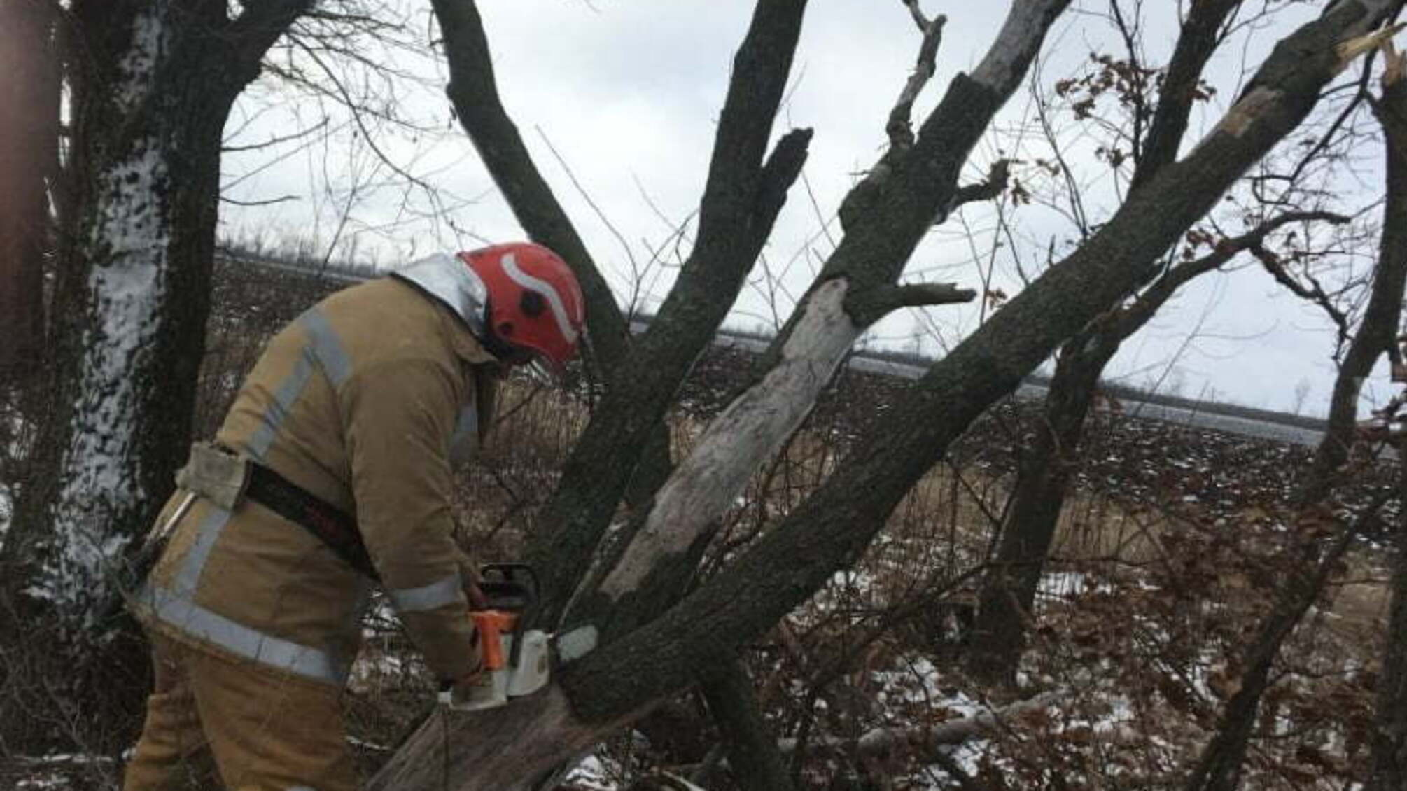 Кіровоградська область: 4 рази рятувальники розпилювали та прибирали повалені внаслідок сильного вітру дерева та гілля