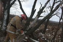 Кіровоградська область: 4 рази рятувальники розпилювали та прибирали повалені внаслідок сильного вітру дерева та гілля