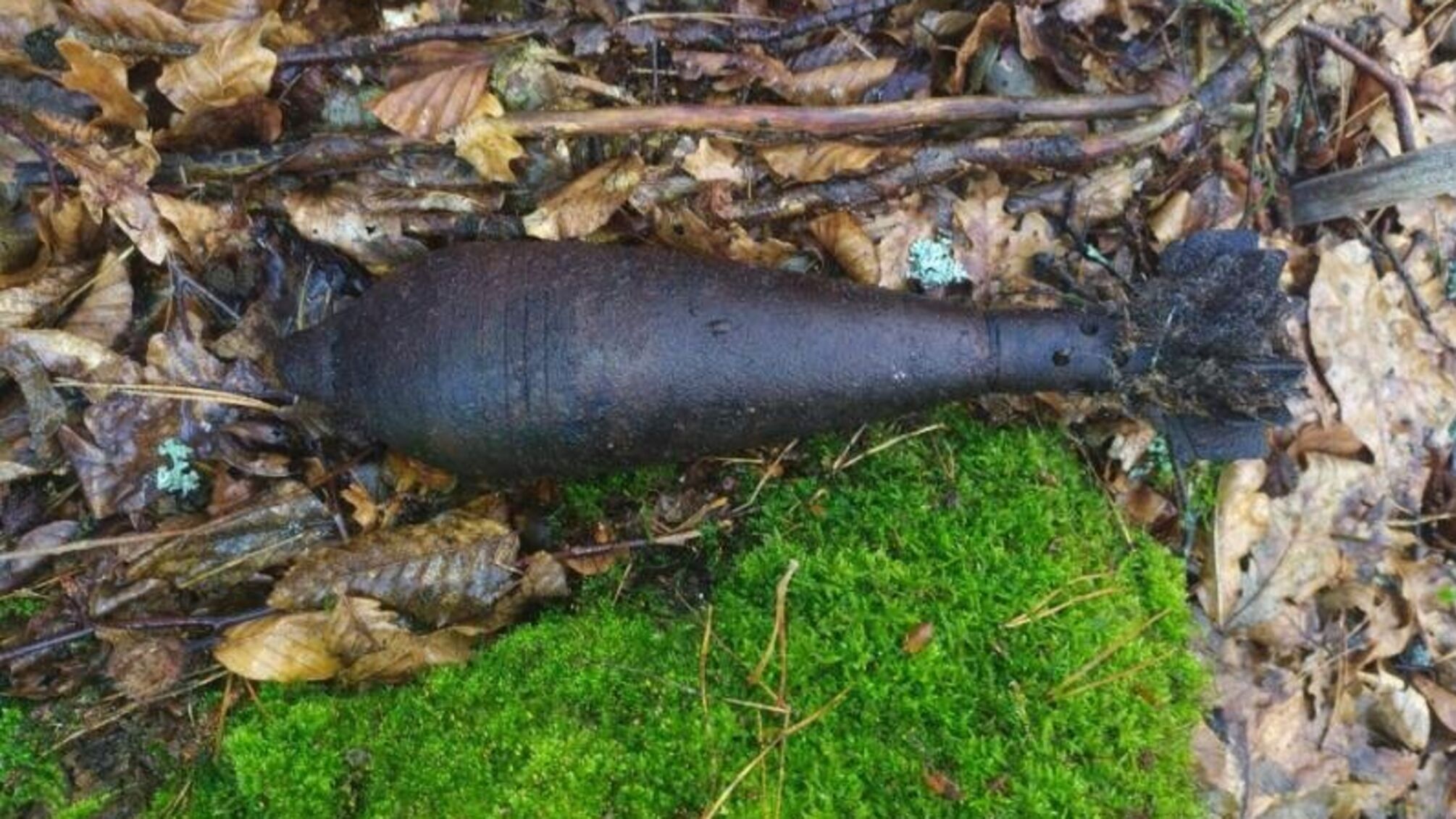На Львівщині в лісі натрапили на мінометну міну часів линулих війн