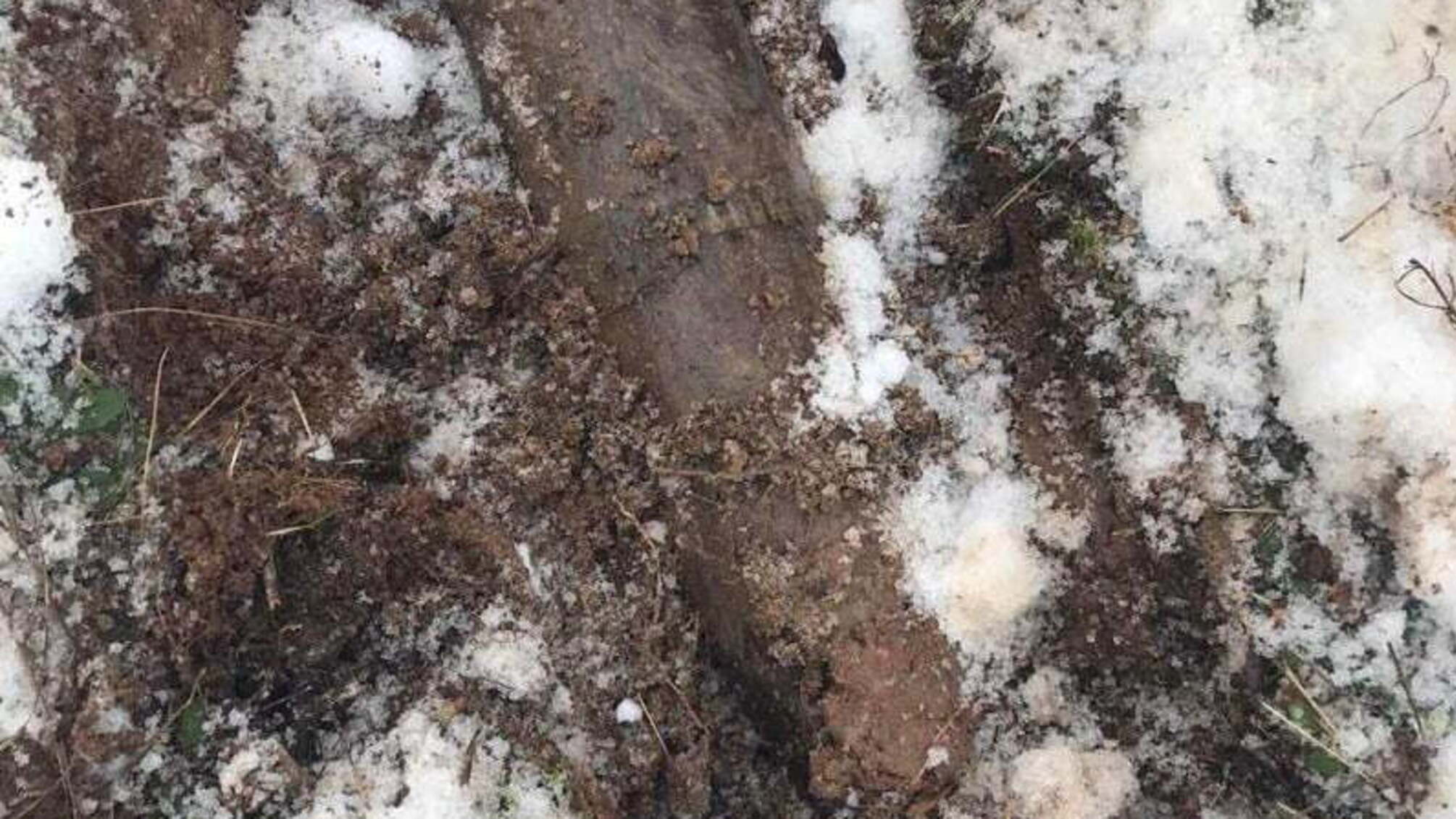 На Донеччині піротехніки вилучили та знешкодили 2 вибухонебезпечних предмета