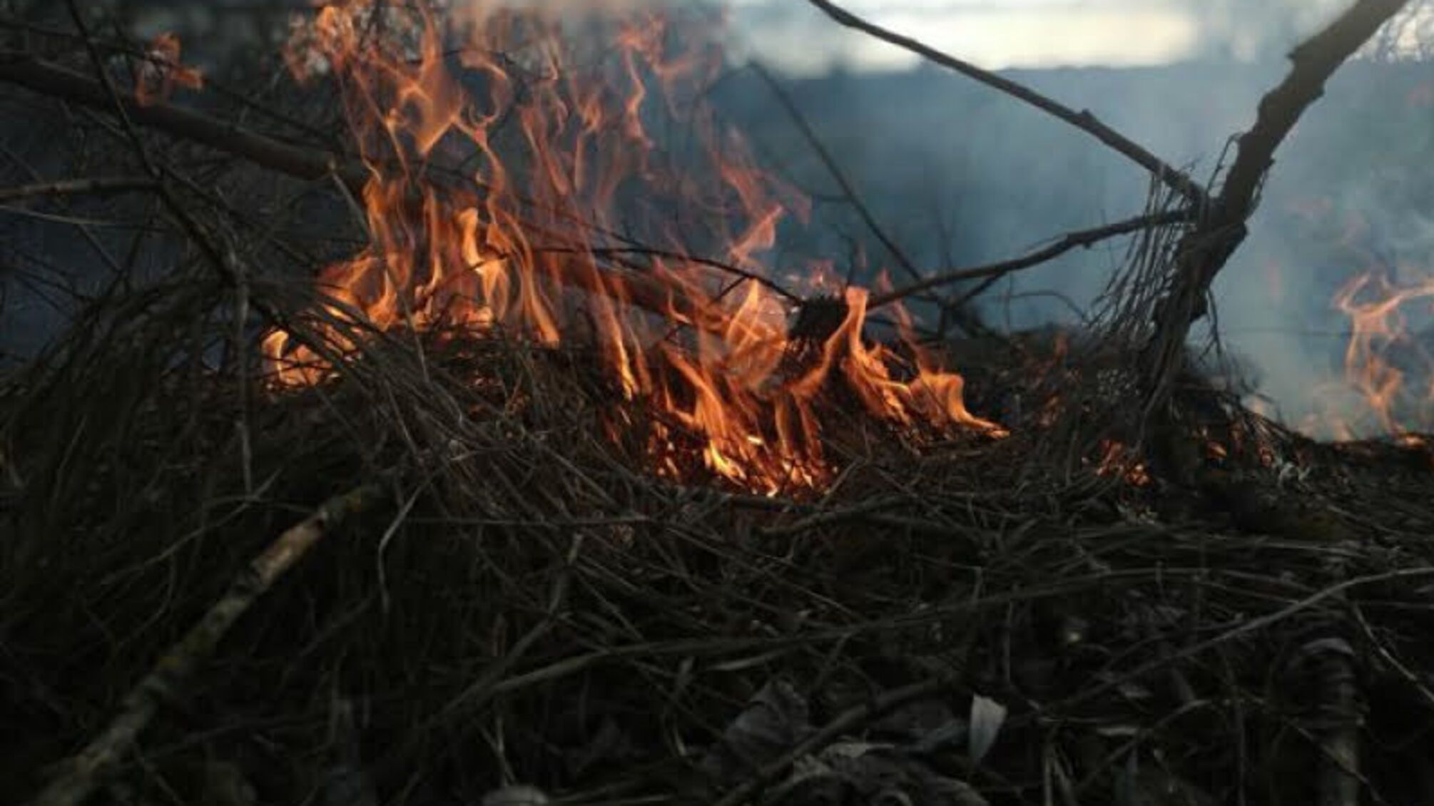 Черкаська область: впродовж доби рятувальники ліквідували 3 пожежі в екосистемах