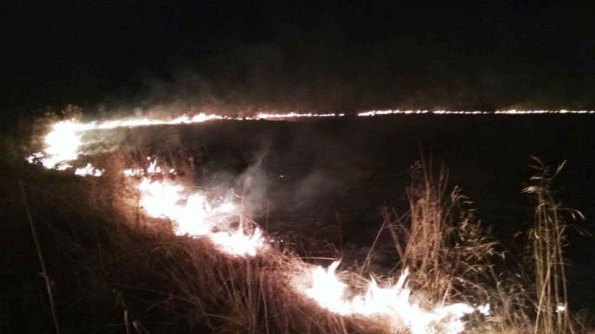 Житомирська область: упродовж доби вогнеборці ліквідували дві пожежі в екосистемах, на загальній площі 5 га