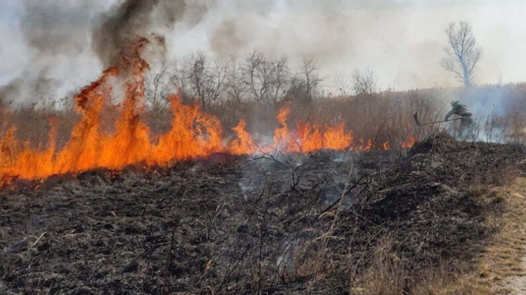 Херсонська область: білозерські рятувальники ліквідували пожежу очерету