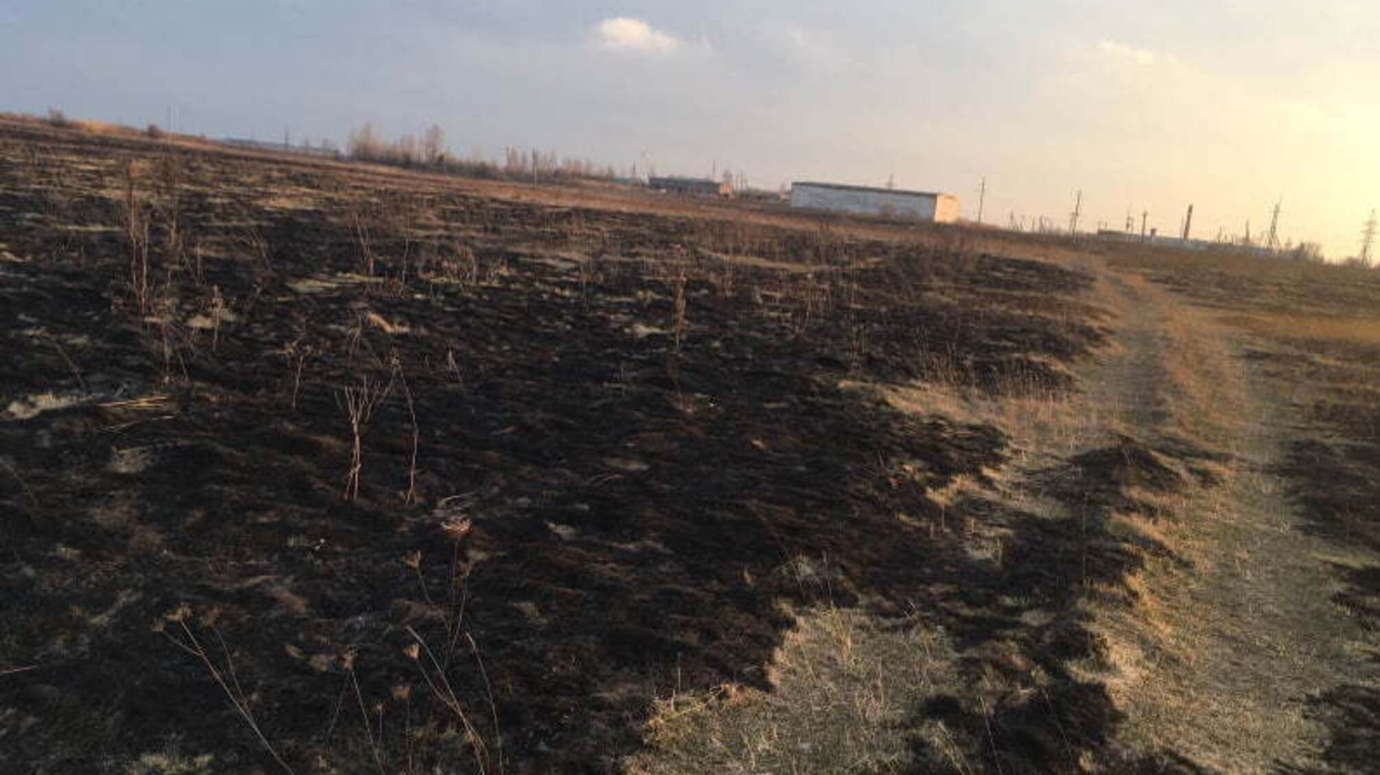 Житомирська область: за минулу добу рятувальники ліквідували 6 загорянь сухої рослинності