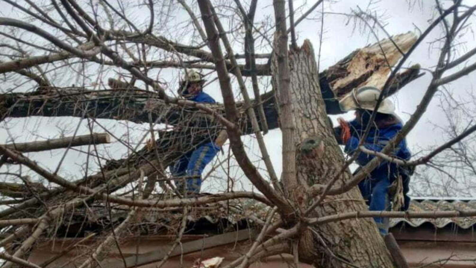 Одеська область: рятувальники деблокували газову магістраль від дерева, що впало