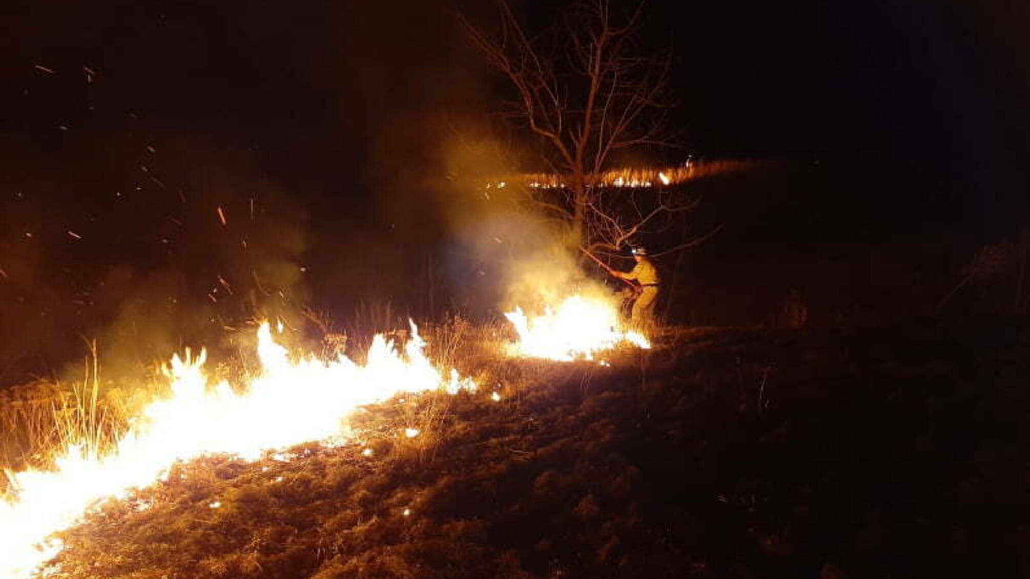 Кіровоградська область: рятувальники приборкали 5 пожеж різного характеру