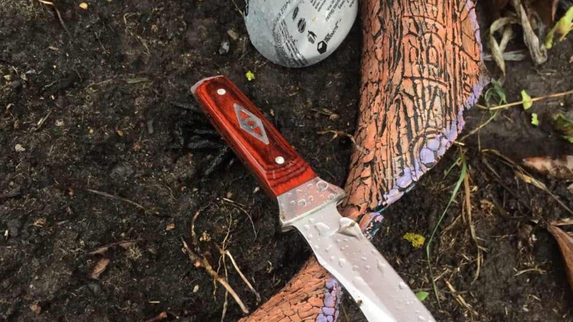На Київщині за фактом нападу на поліцейського відкрито кримінальне провадження