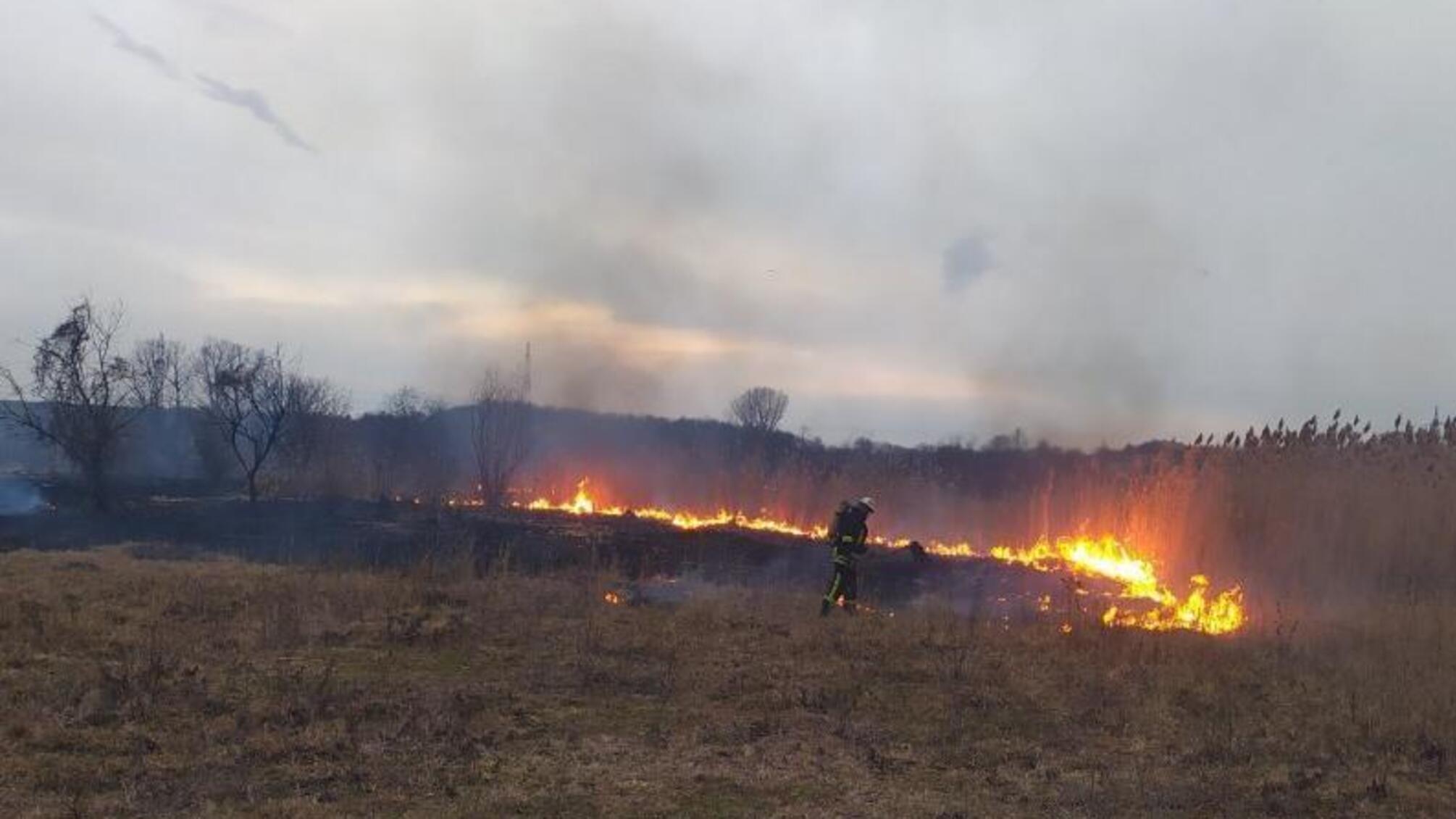 На Кіровоградщині приборкано 11 займань на відкритих територіях