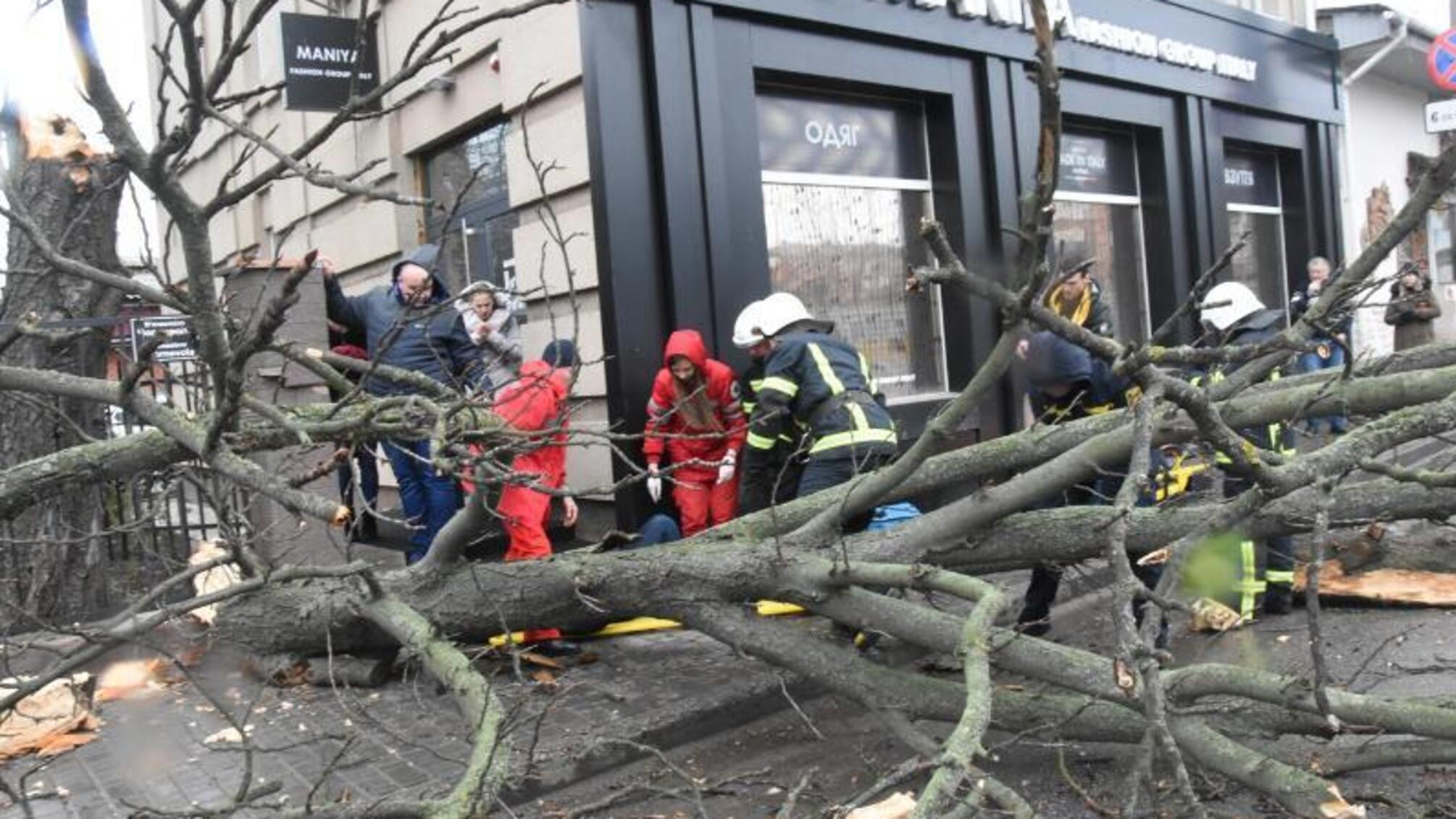 У Кропивницькому через сильний вітер упало дерево та травмувало громадянку