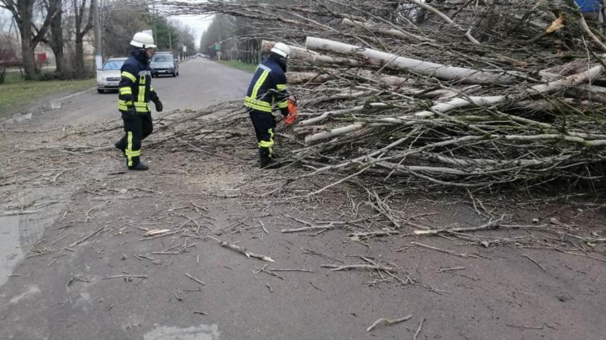 Херсонщина: рятувальники прибирають повалені вітром дерева