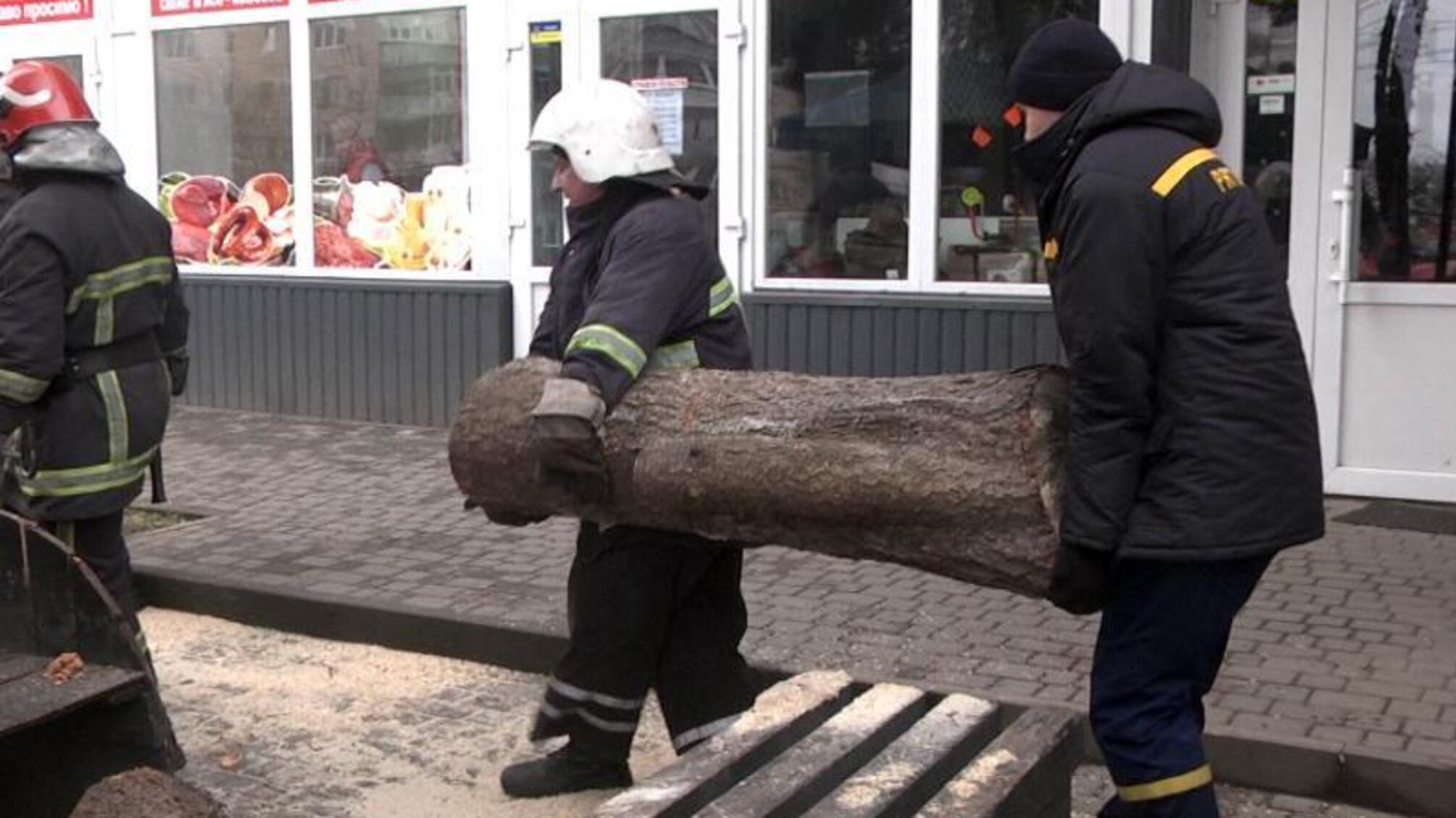У Хмельницькому рятувальники прибрали ялинку, яку вітер повалив поблизу магазинів