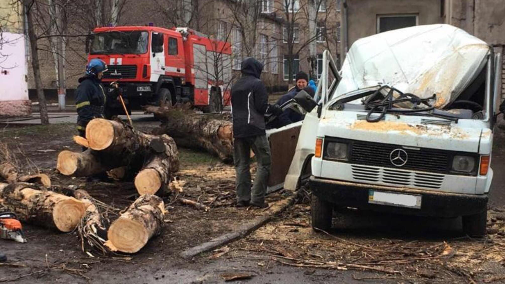 Дніпропетровська область: співробітники Служби порятунку «101» прибрали дерево з понівеченої автівки