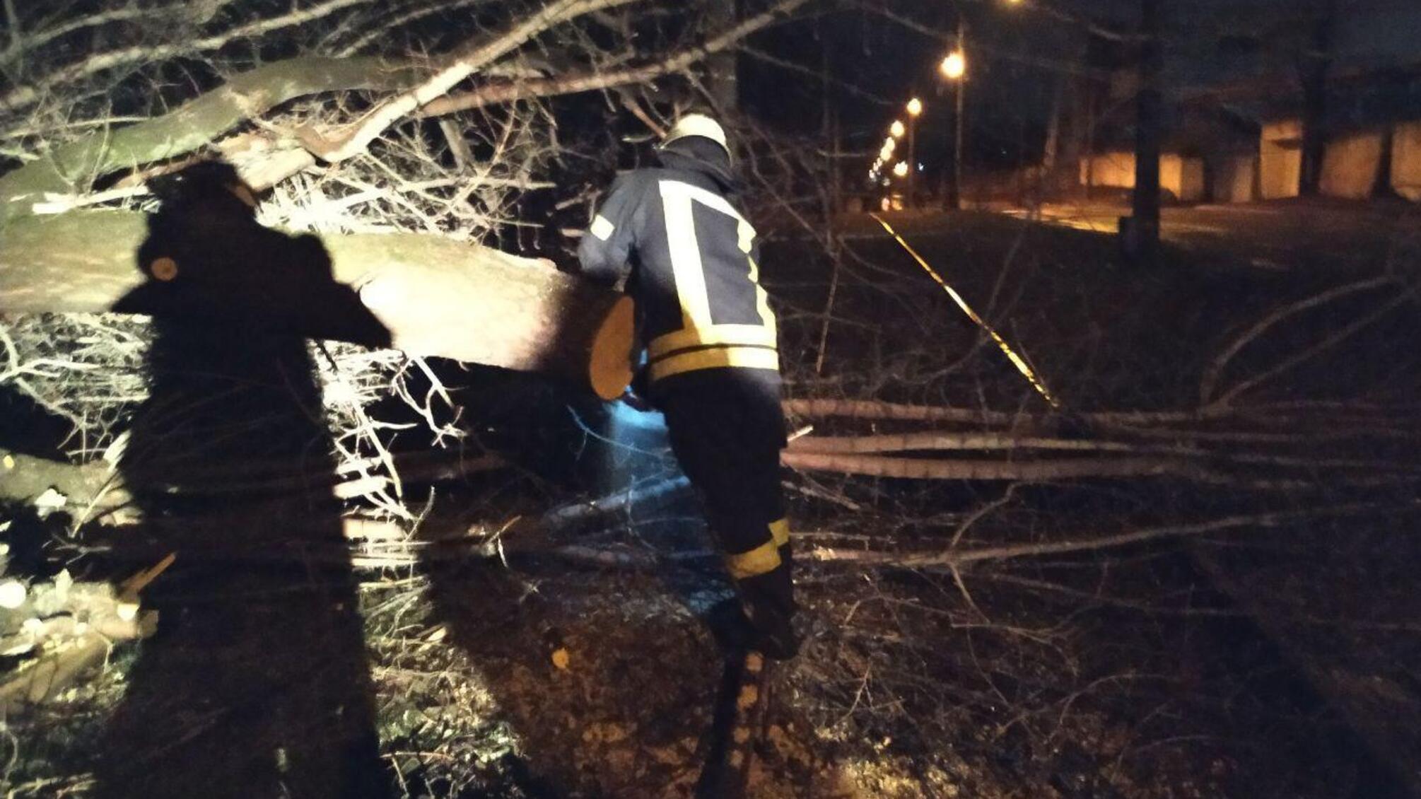 Рятувальники Запорізької області ліквідували наслідки негоди