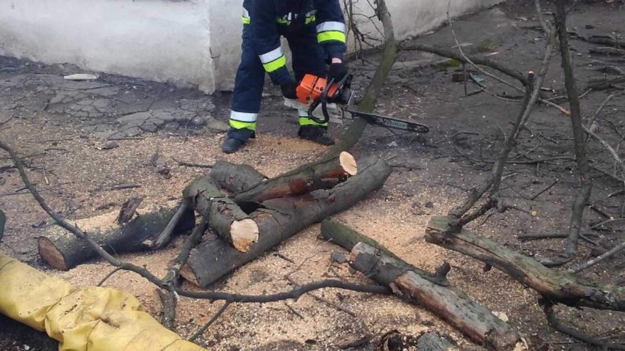 На Донеччині рятувальники прибрали аварійне дерево, що впало на газову трубу