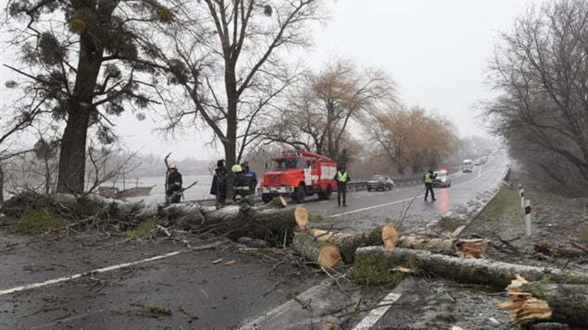 Черкаська область: рятувальники звільнили автодорогу від поваленого дерева