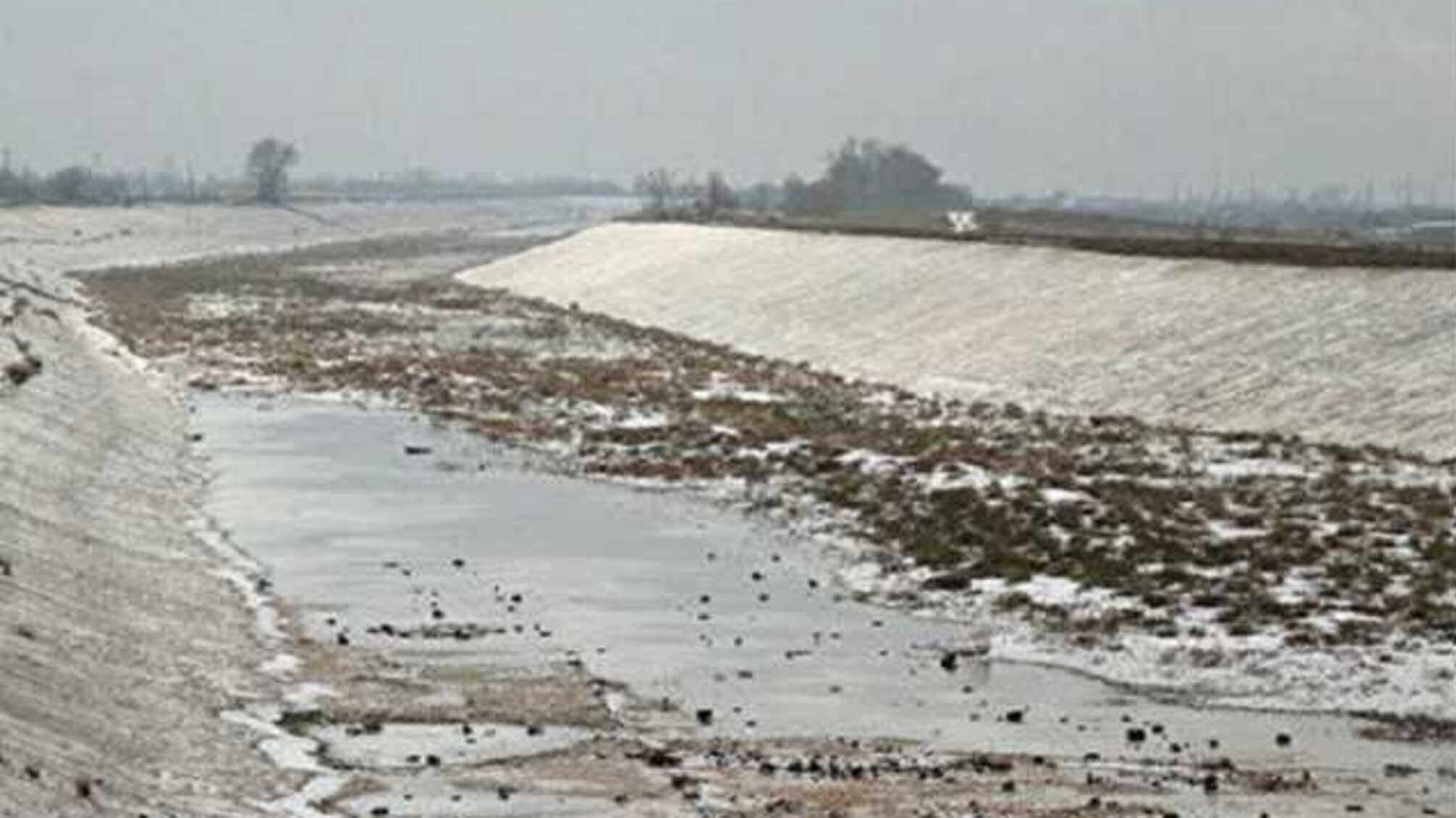 Журналист жестко ответил Арахамии на поставку воды в аннексированный Крым