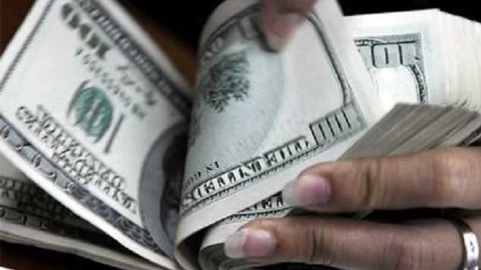 Светлана Литош: как стать мультимиллинершей работая в налоговой