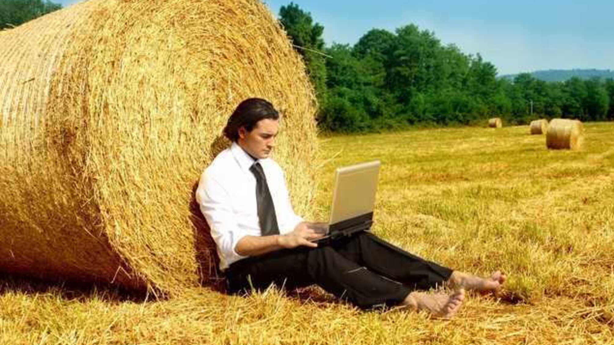 Милованов назвал IT и агросектор единственными успешными сферами в Украине