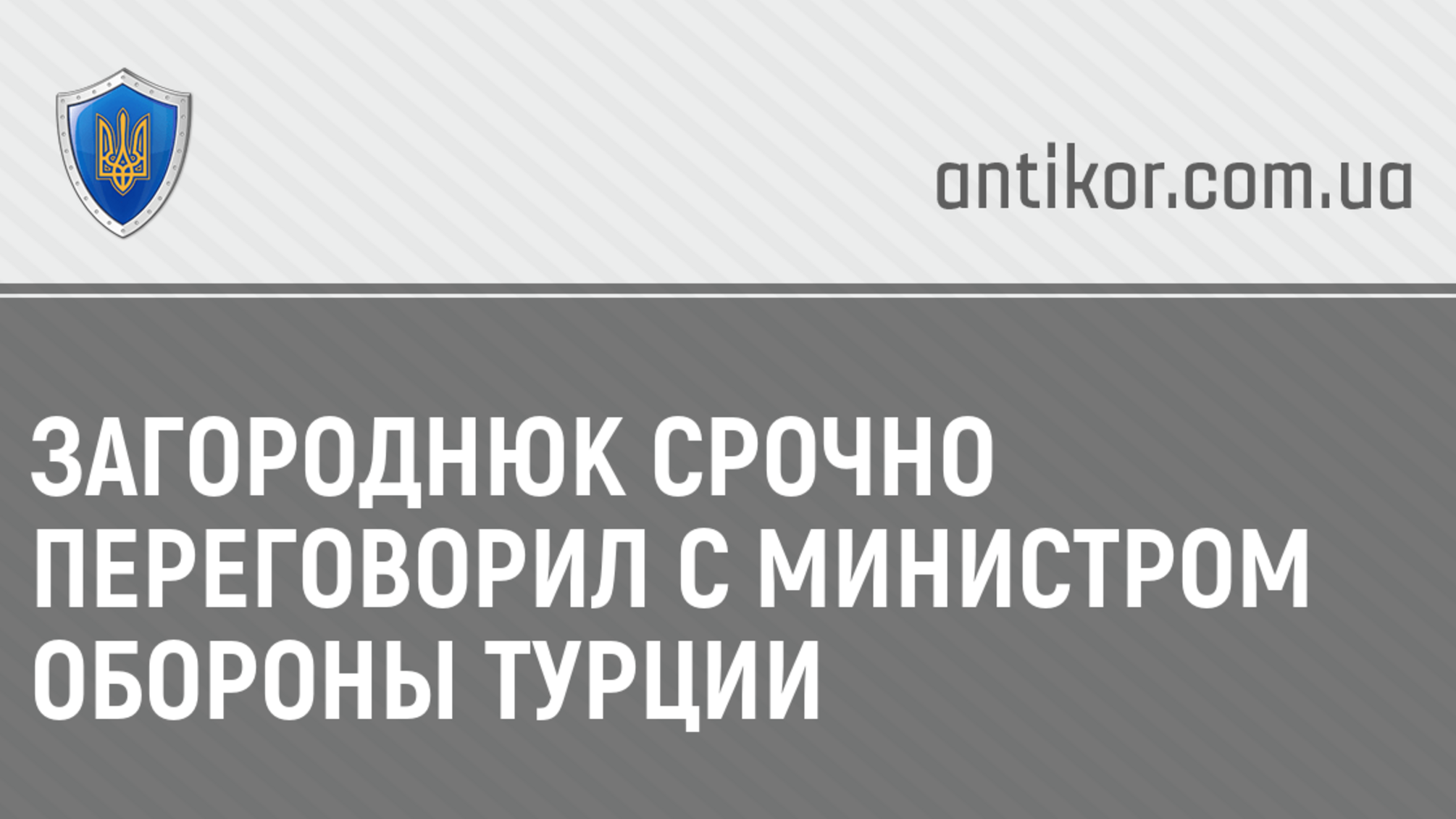 Загороднюк срочно переговорил с министром обороны Турции