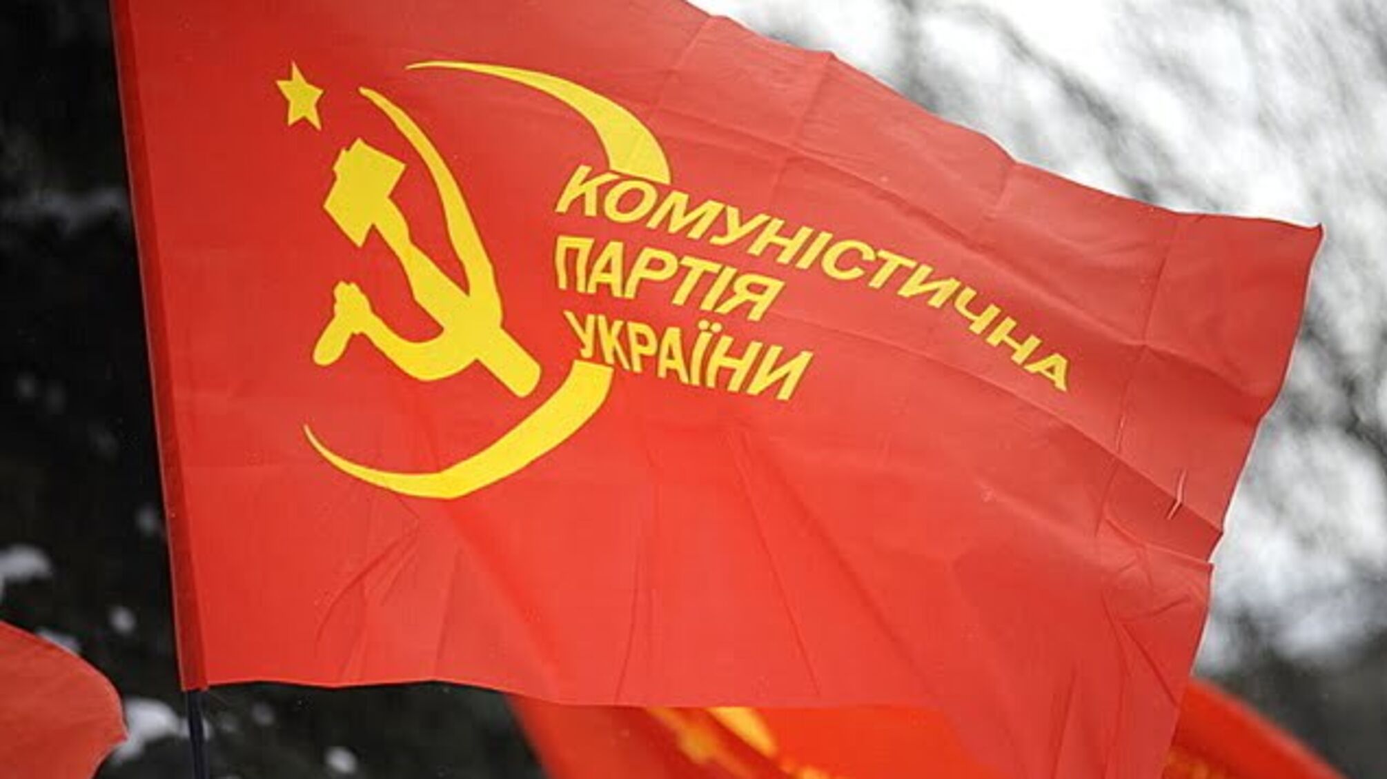 Коммунисты Киевщины воспротивились «красному террору»