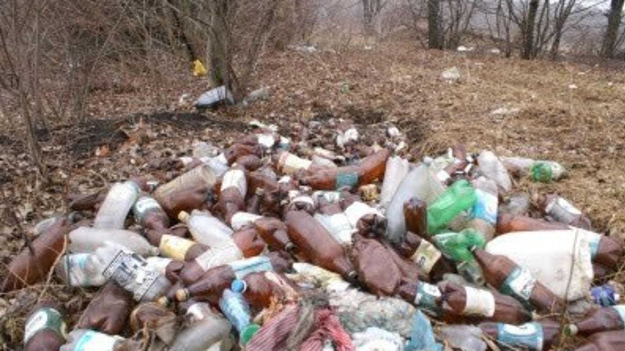 Кримінальний бізнес перетворює Україну на смітник