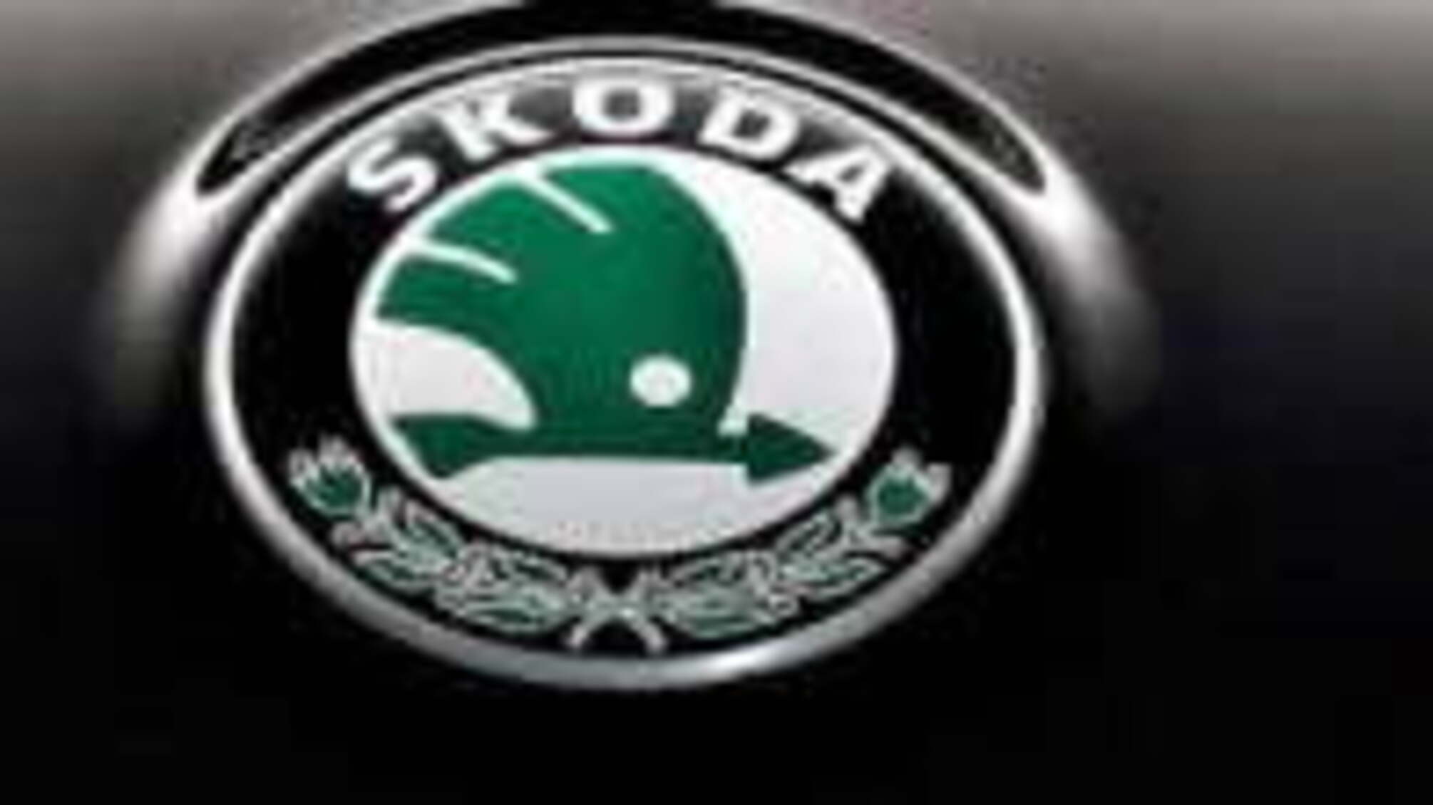 Как партнер SKODA Auto Олег Боярин обокрал банки
