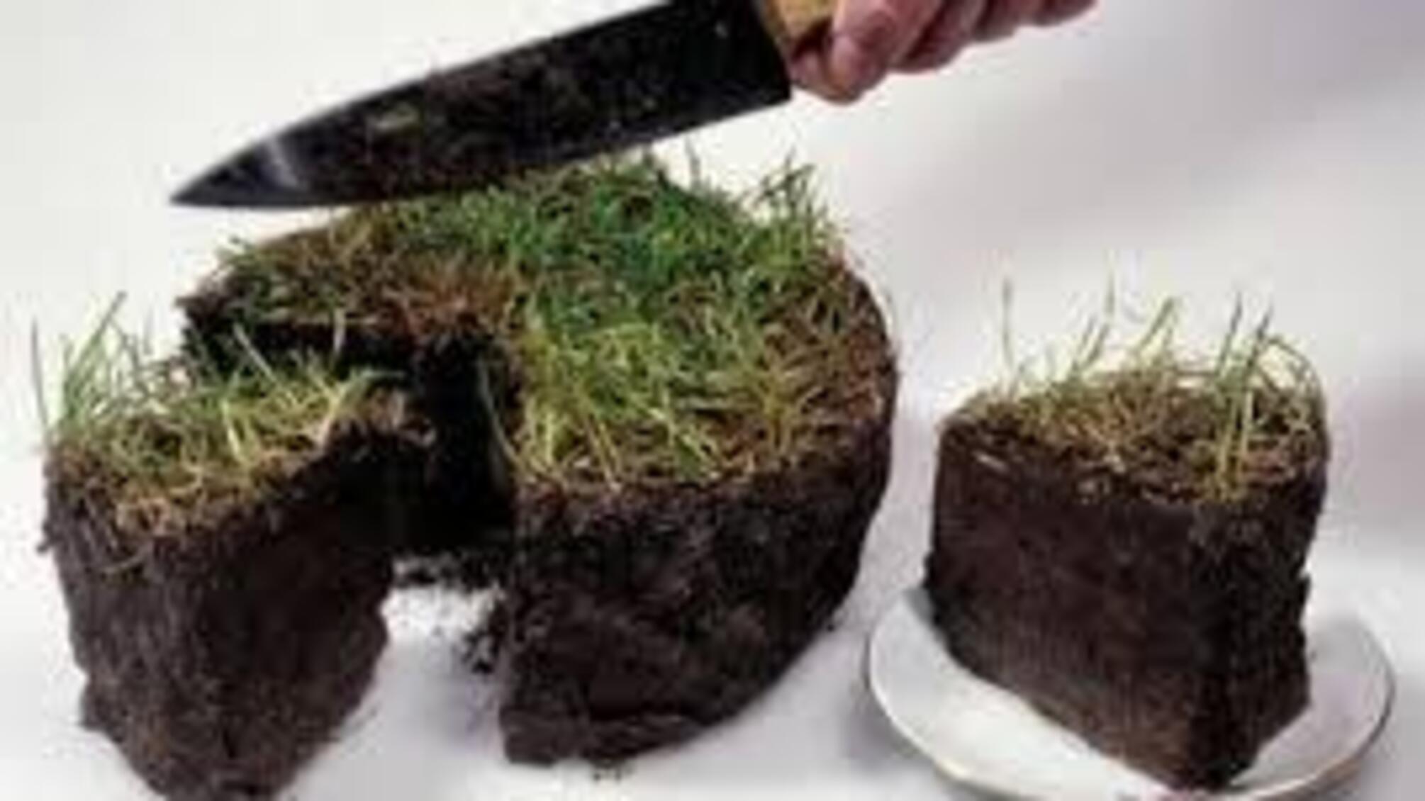 Стрелюк із Головком віджимають землю в Новогалещинської біофабрики. Частина ІІ