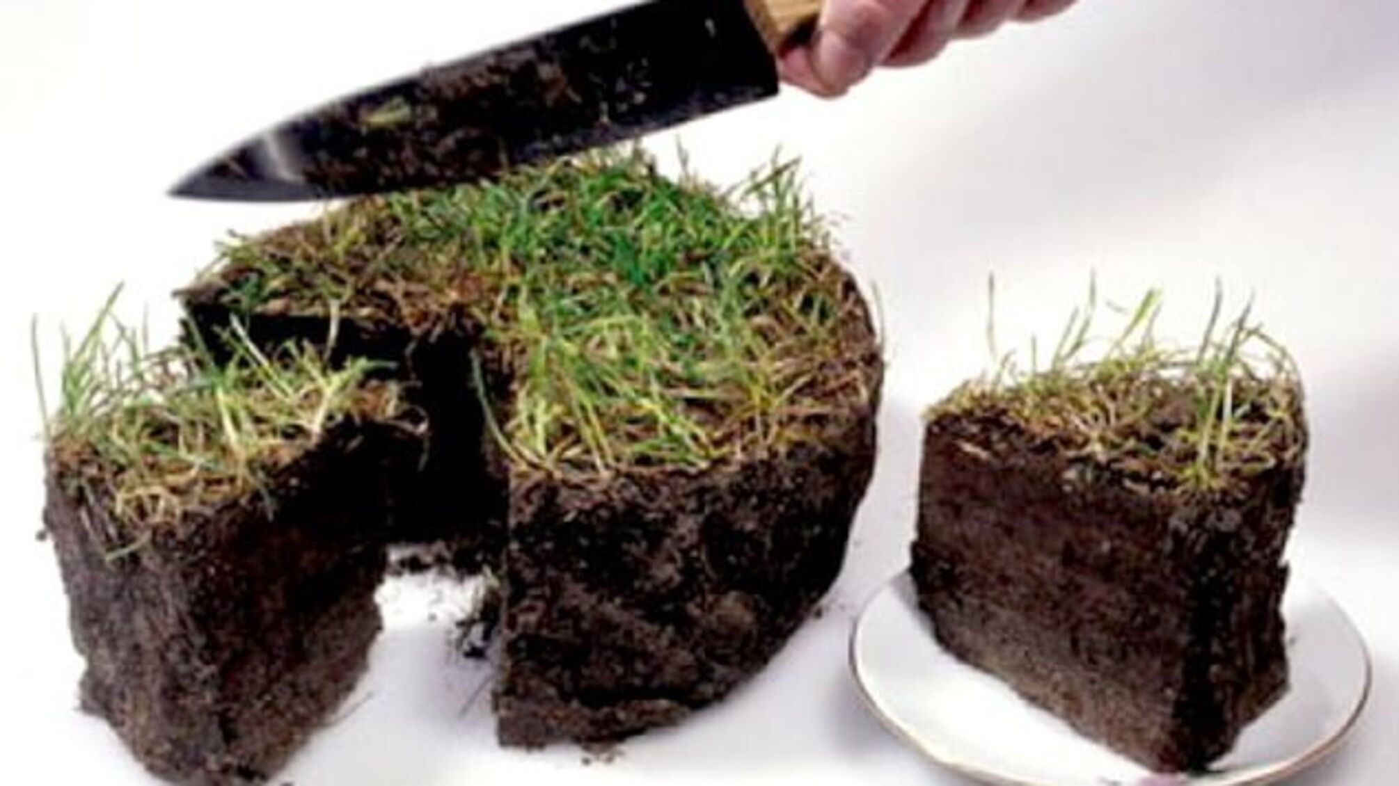 У приватної фірми на Волині відібрали землі на 140 млн грн