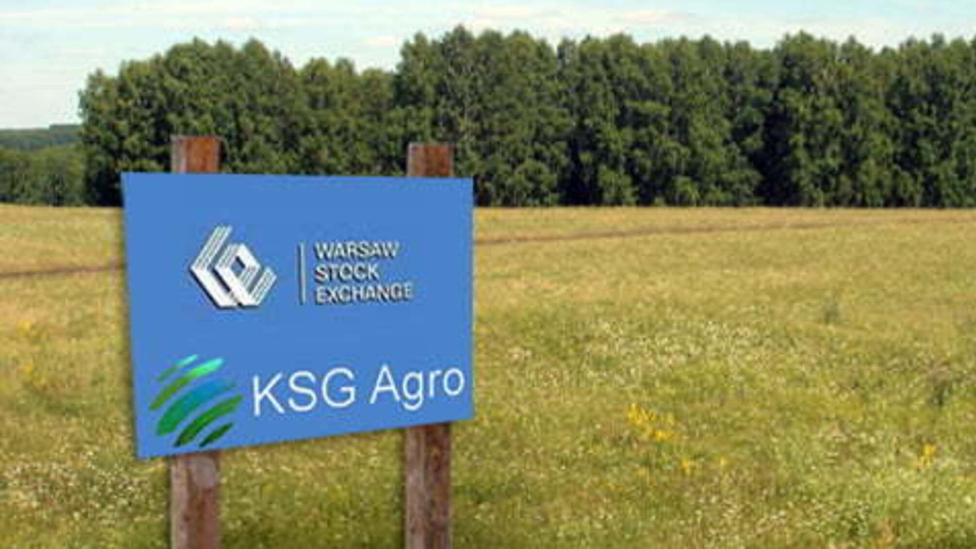 KSG Agro открещивается от рейдерского захвата «Чумаков», но факты говорят об обратном